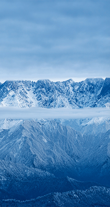 关于PA尊龙凯时